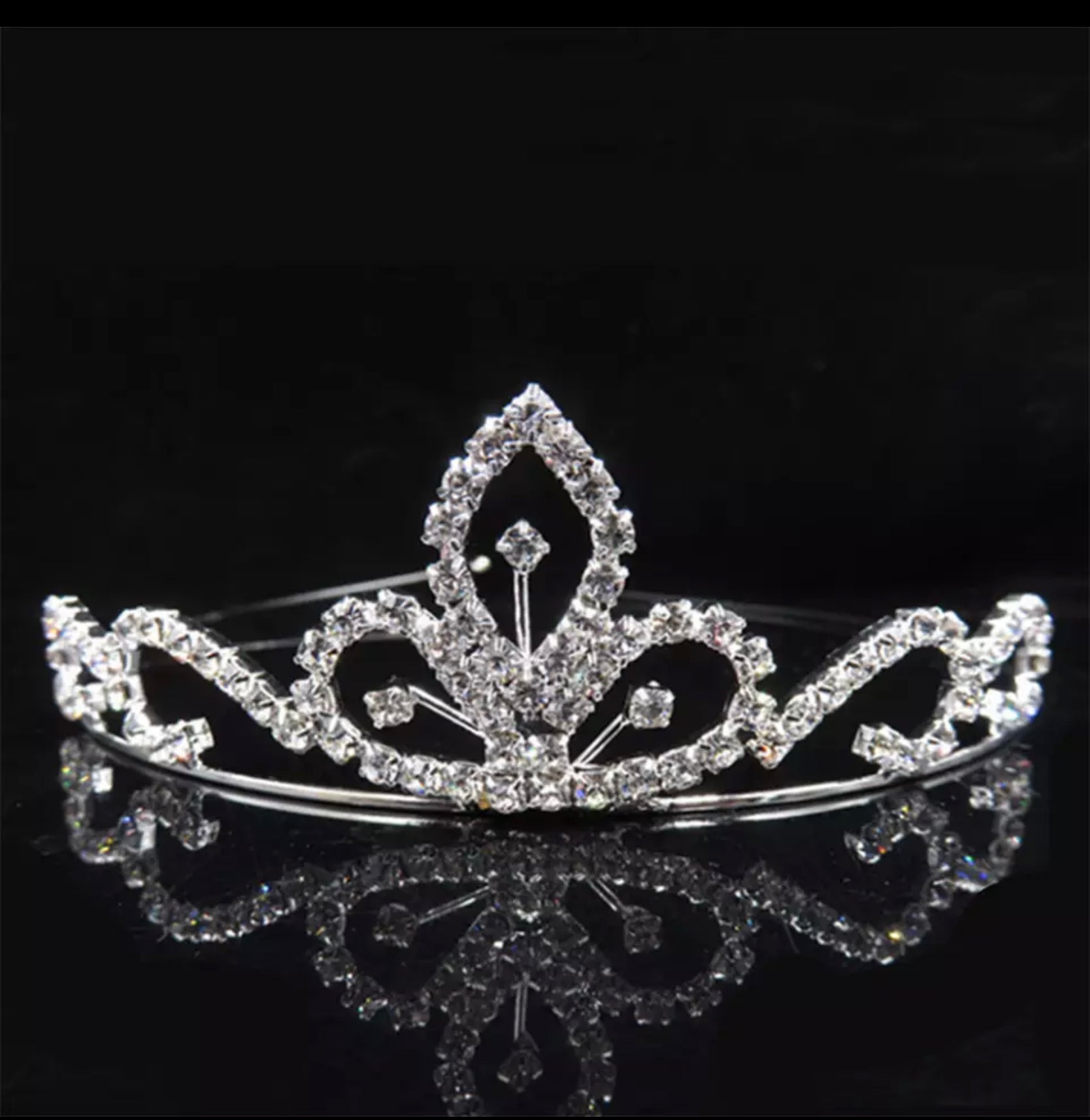 Beautiful Princes Crown