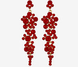 Inlaid Red Crystal Tassel Earrings