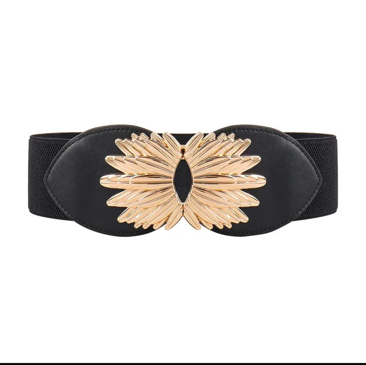 Wide elastic belt